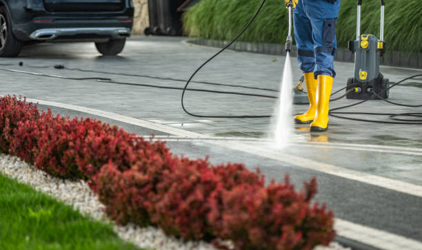 Trusted North Hornell, NY Pressure Washing Services Experts